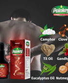 Painkey Ayurvedic Pain Relief Oil (Pack of 2)