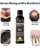 Herayu Bhringraj Ayurvedic Hair Oil Promote Hair growth, Hair Fall Control For Men & Women (Pack of 2)